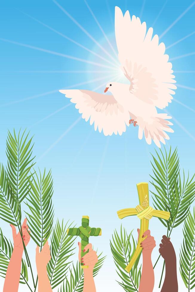 Composition of bright spring flowers. Vector colored hyacinths and yellow daffodils on a white background. Primroses in a cartoon style are suitable for greeting cards for Mother's Day and Women's Day