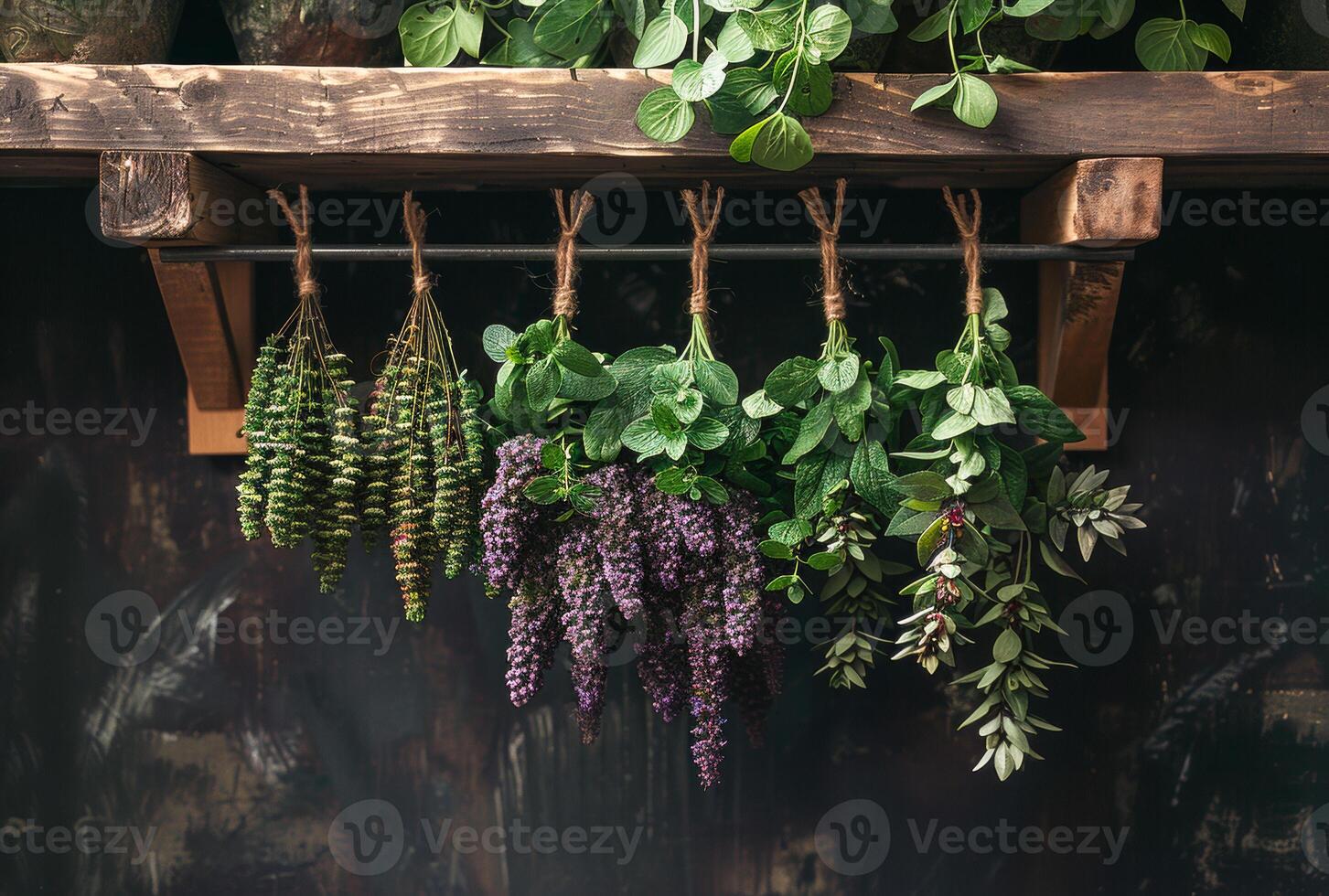 AI generated A herbs hanging from line. Natural medicine photo