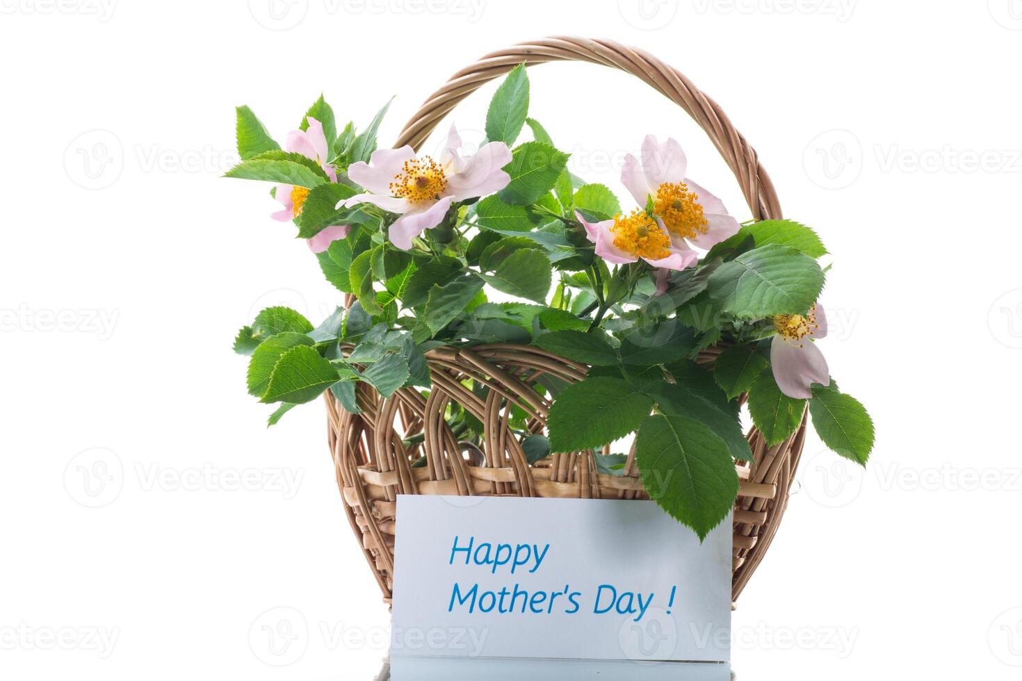 small bouquet of wild rosehip flowers on white background. photo