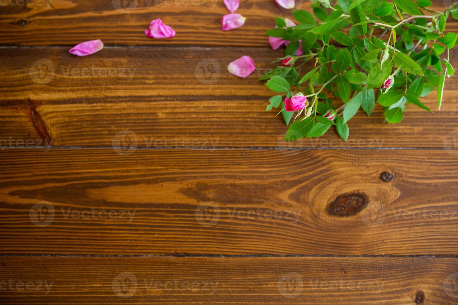 Floral background of pink roses on wooden table photo