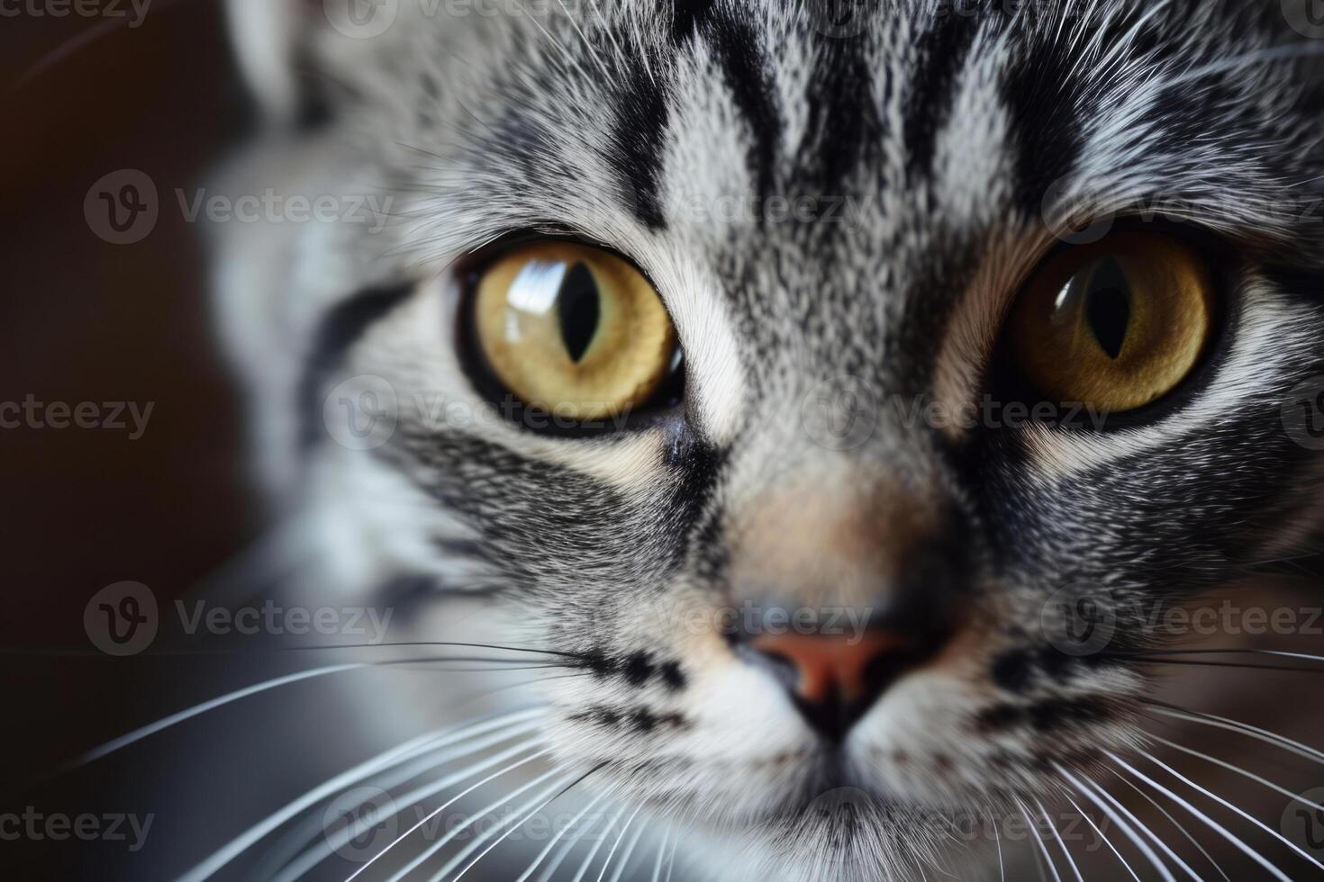 AI generated Cat's face with expressive eyes. Pets and lifestyle concept. Generative AI photo