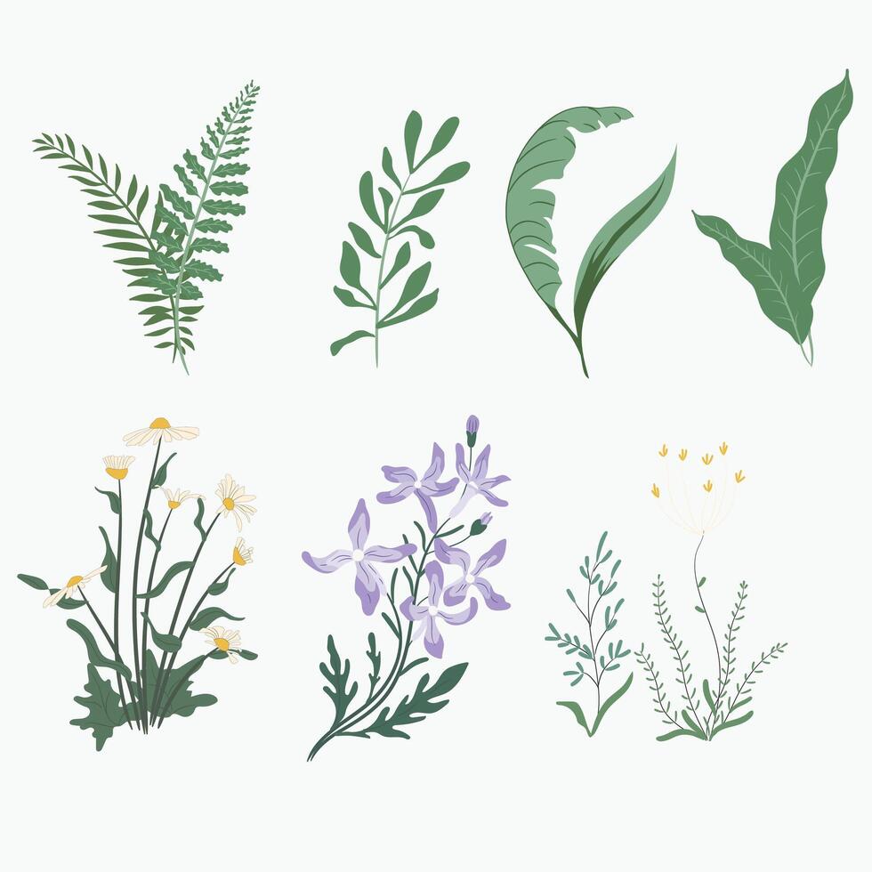 Plants Green leaf and Flowers background Modern Vector