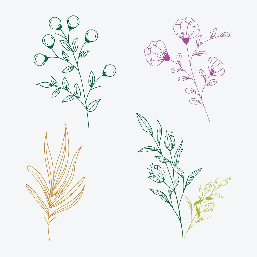 Green leaves and flowers with a white background vector