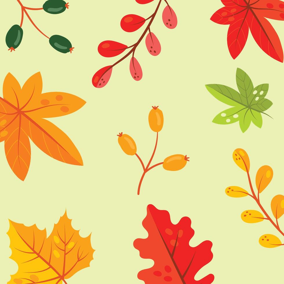 Autumn leaves, vector illustration White Background