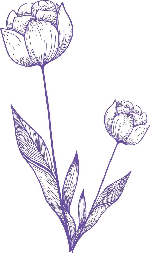 Botanical Black and white Natural Elements vector background