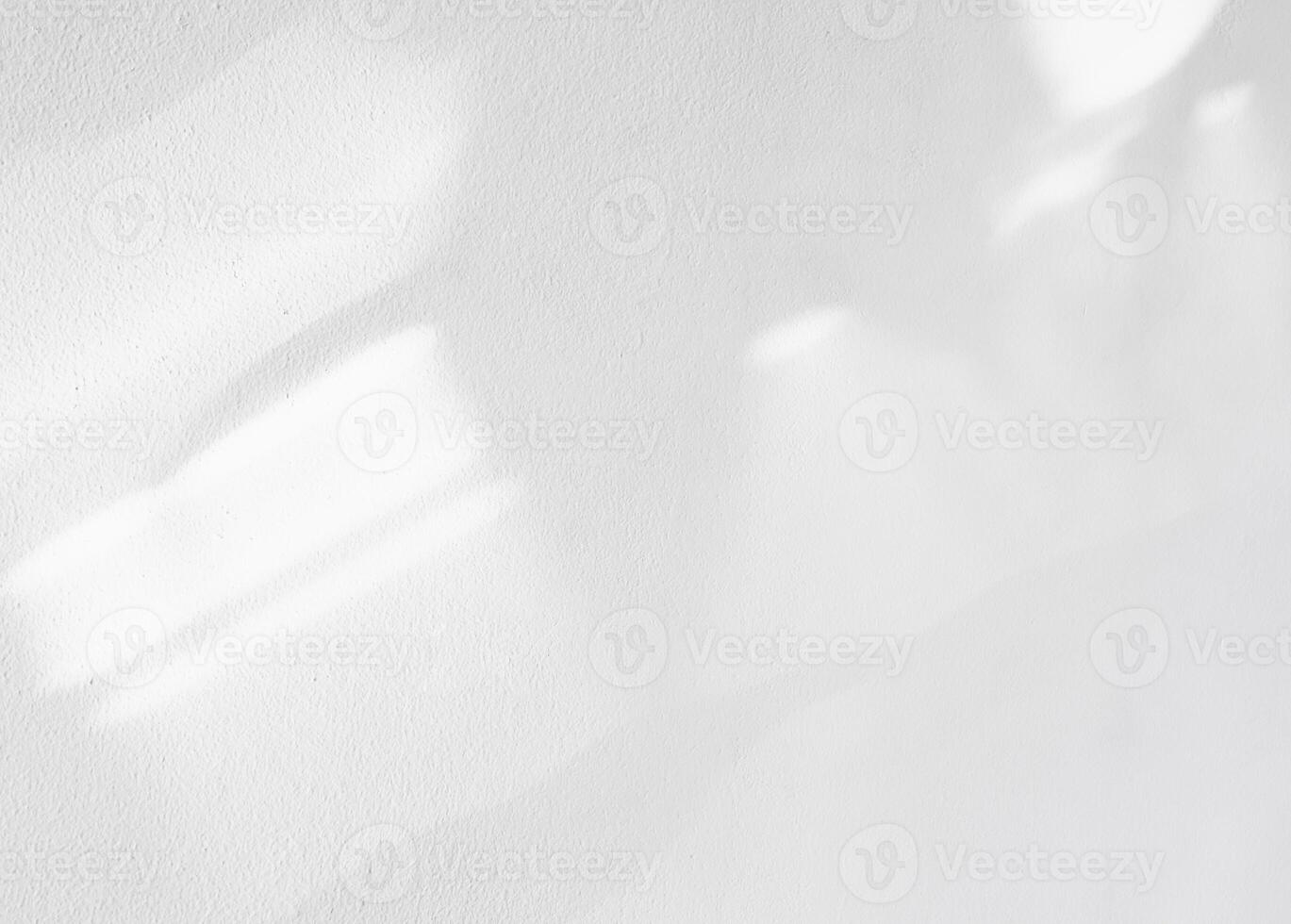 blanco pared fondo,hormigón textura con sombra hojas, vacias gris cemento habitación con luz de sol reflejar en blanco yeso pintura, luz efecto para monocromo foto, Bosquejo, producto diseño presentación foto