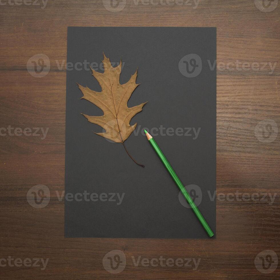 A pencil lies on a blank sheet of paper on a beautiful background in a photo studio