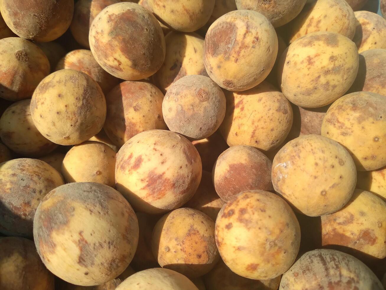 Duku or lansium parasiticum which has been peeled isolated on duku fruits background. photo