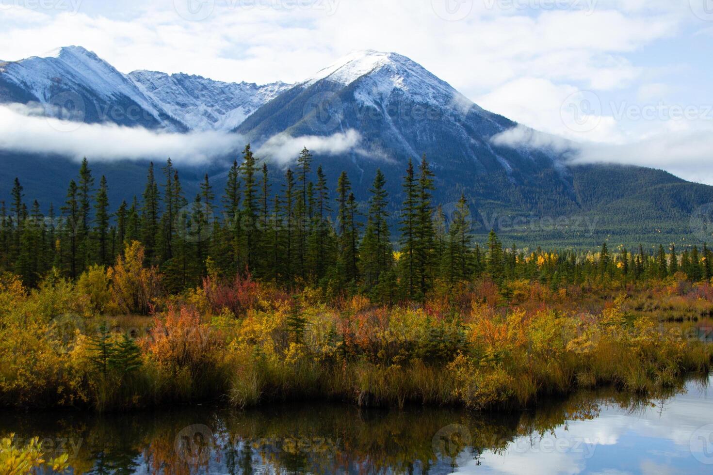 Aerial view of the Vermilion Lakes near Banff, Canada. photo