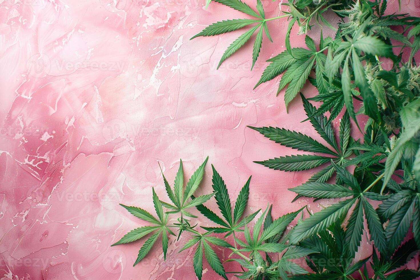 AI generated fresh green marijuana cannabis leaves frame on pastel pink background with copy space photo