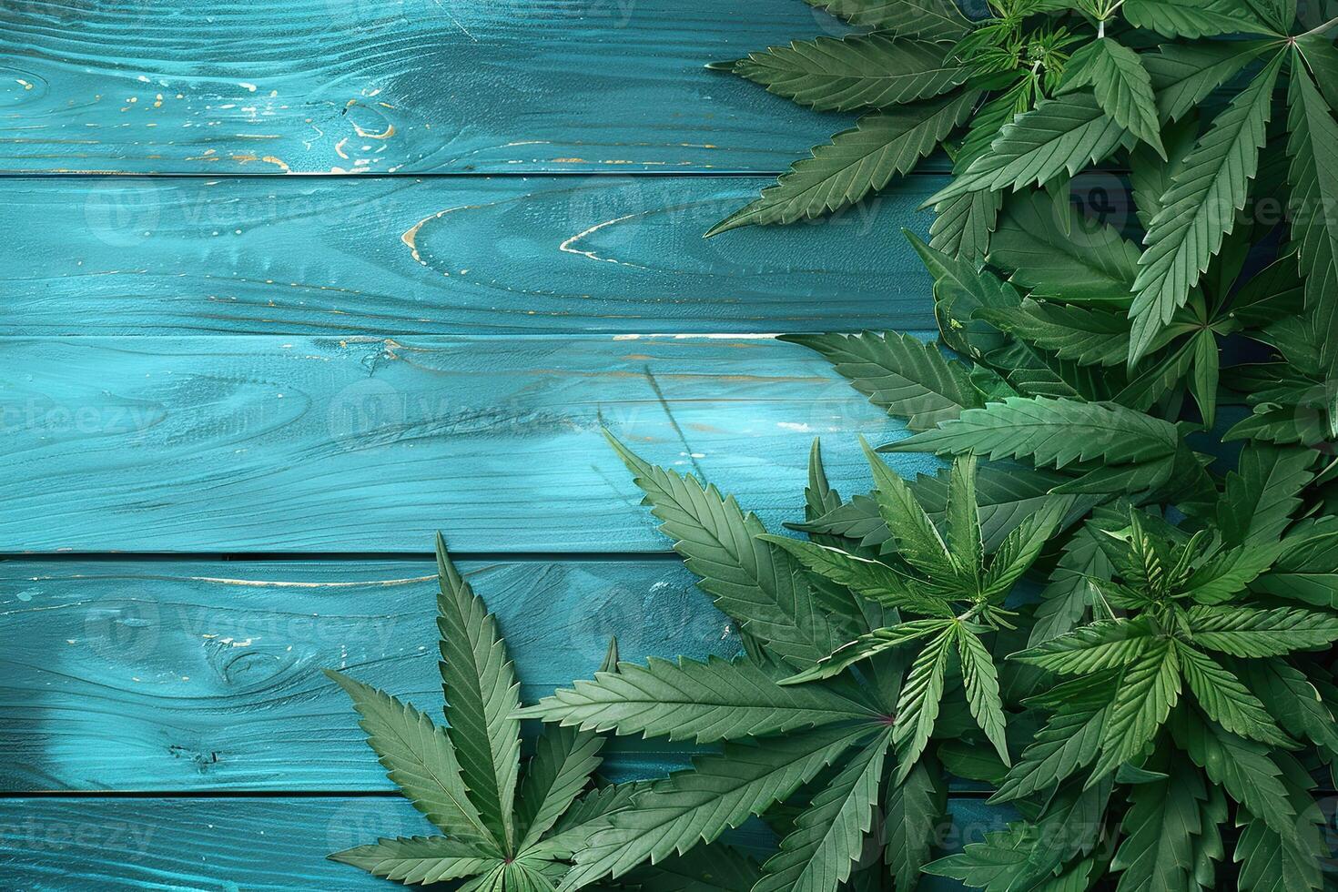 AI generated fresh green marijuana cannabis leaves frame on blue wooden background with copy space photo