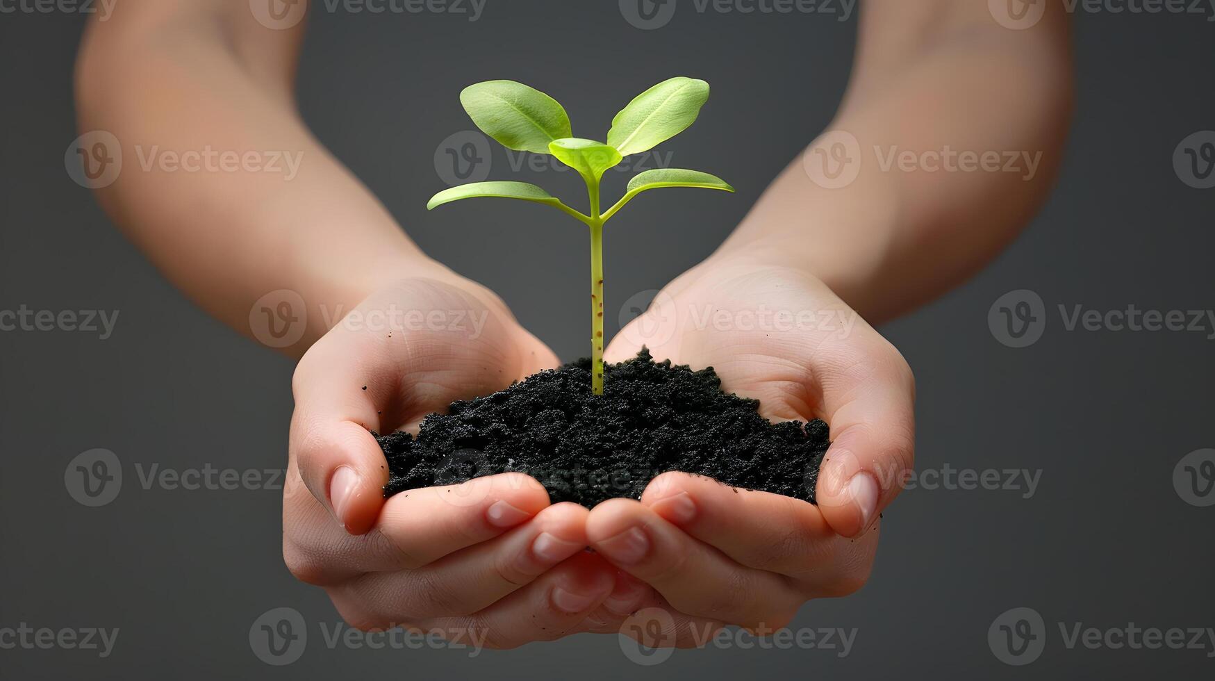 AI generated Human palms hold soil with a green small plant as a concept for business development. AI Generated photo