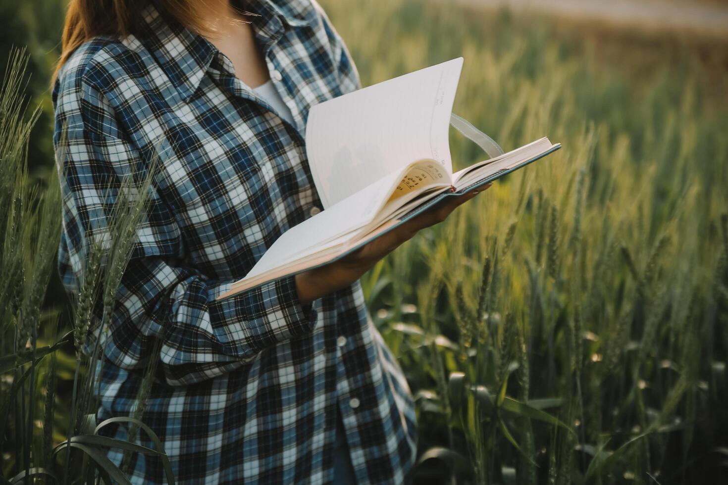 Smart farm. Farmer with tablet in the field. Agriculture, gardening or ecology concept. Harvesting. Agro business. photo