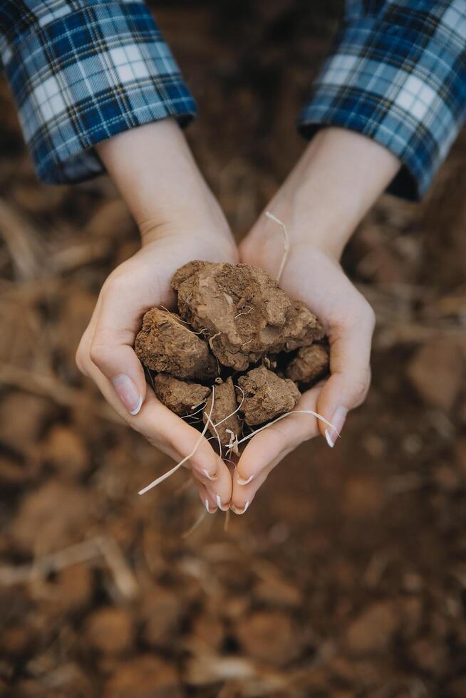Top view of soil in hands for check the quality of the soil for control soil quality before seed plant. Future agriculture concept. Smart farming, using modern technologies in agriculture photo