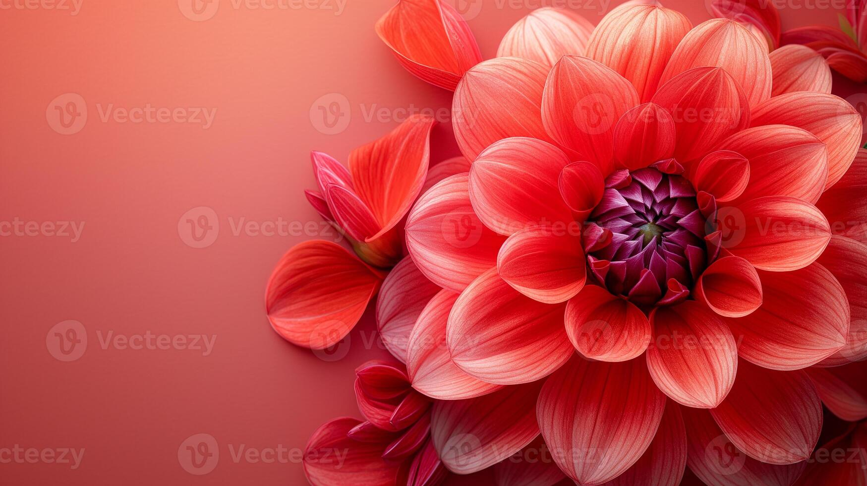 AI generated red dahlia flower copy space for text photo