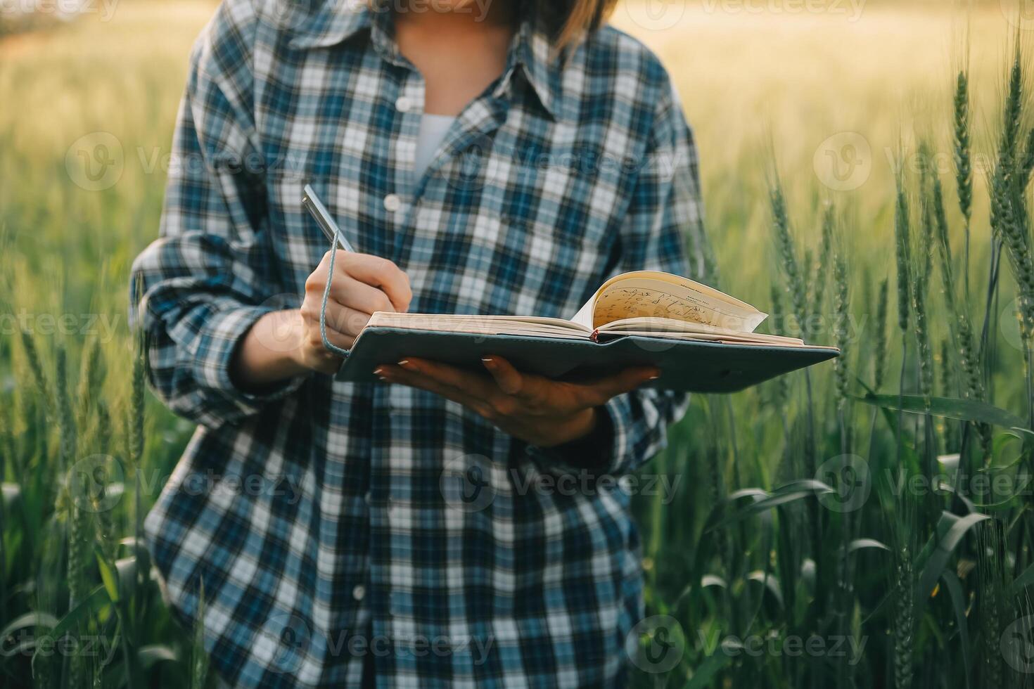 Smart farm. Farmer with tablet in the field. Agriculture, gardening or ecology concept. Harvesting. Agro business. photo