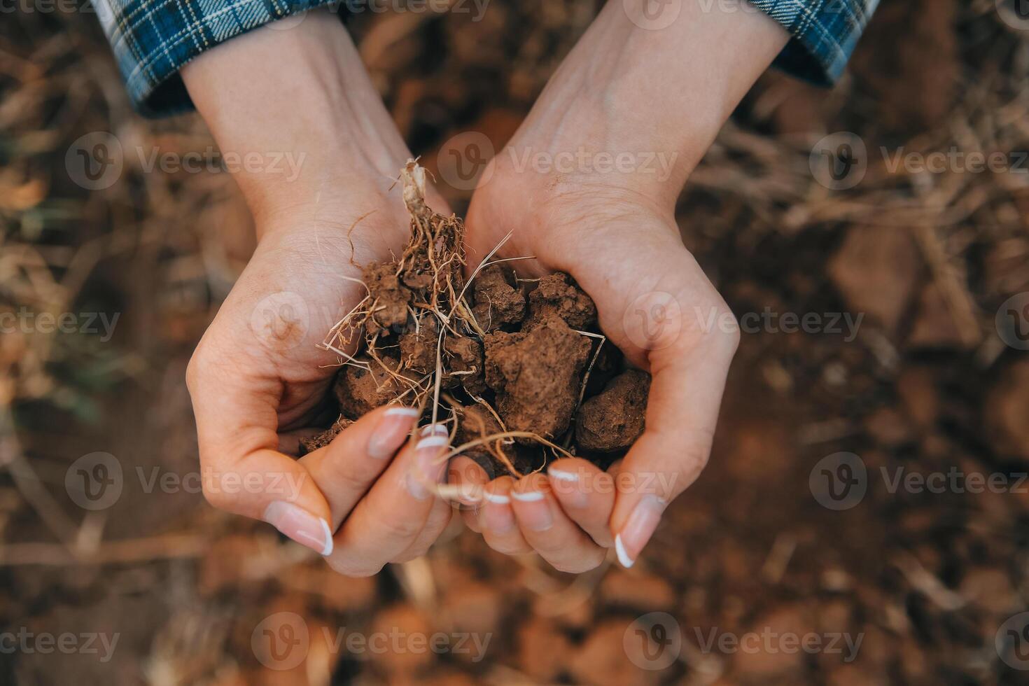 Top view of soil in hands for check the quality of the soil for control soil quality before seed plant. Future agriculture concept. Smart farming, using modern technologies in agriculture photo