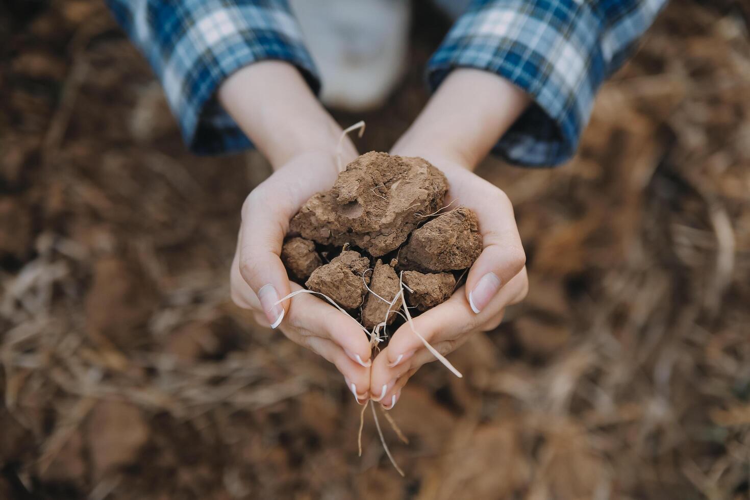 Top view of soil in hands for check the quality of the soil for control soil quality before seed plant. Future agriculture concept. Smart farming, using modern technologies in agriculture photo