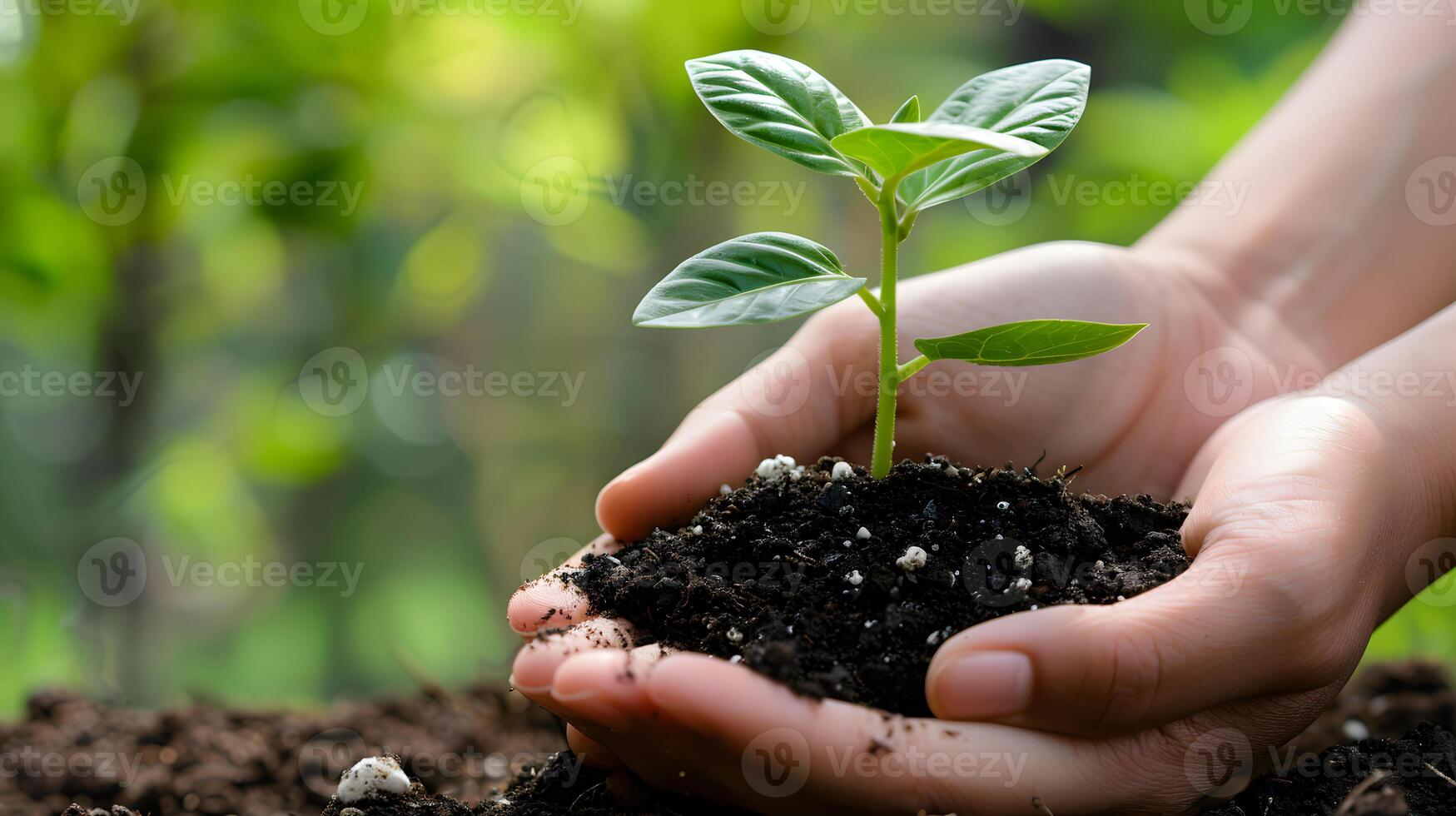 AI generated Human palms hold soil with a green small plant as a concept for business development. AI Generated photo