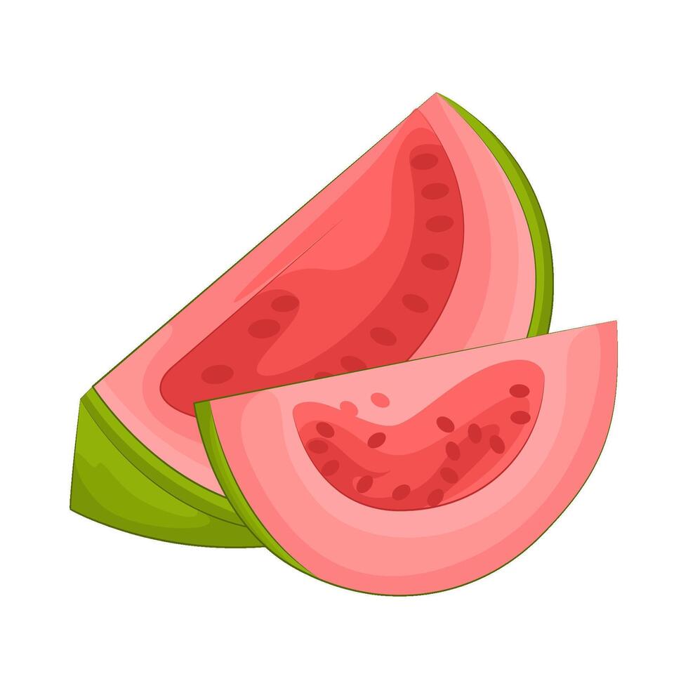 Illustration of guava slice vector
