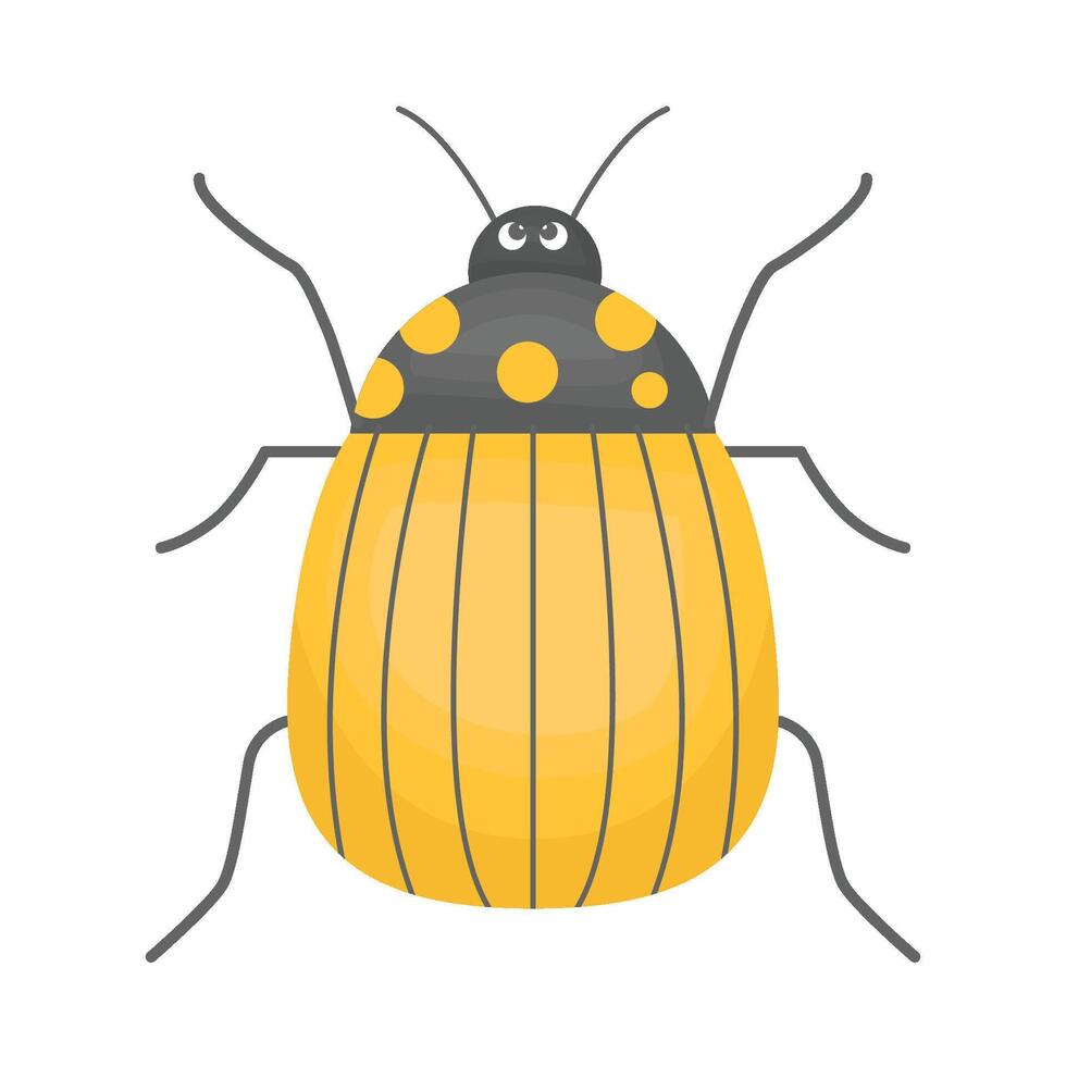 Illustration of bug vector