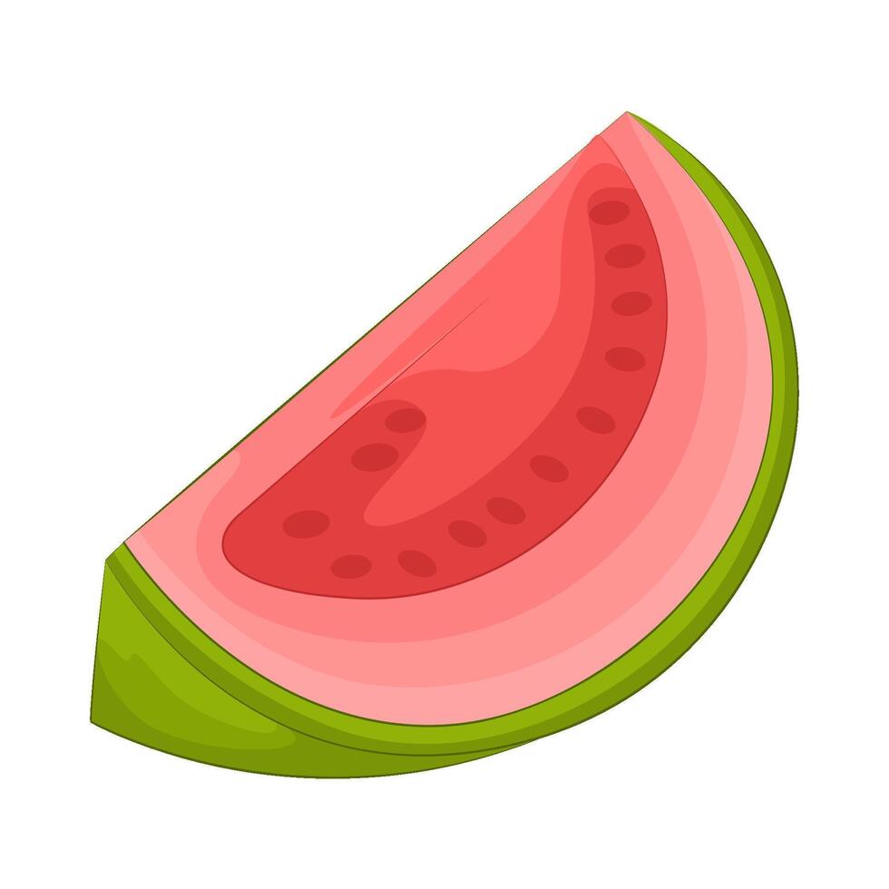 Illustration of guava slice vector