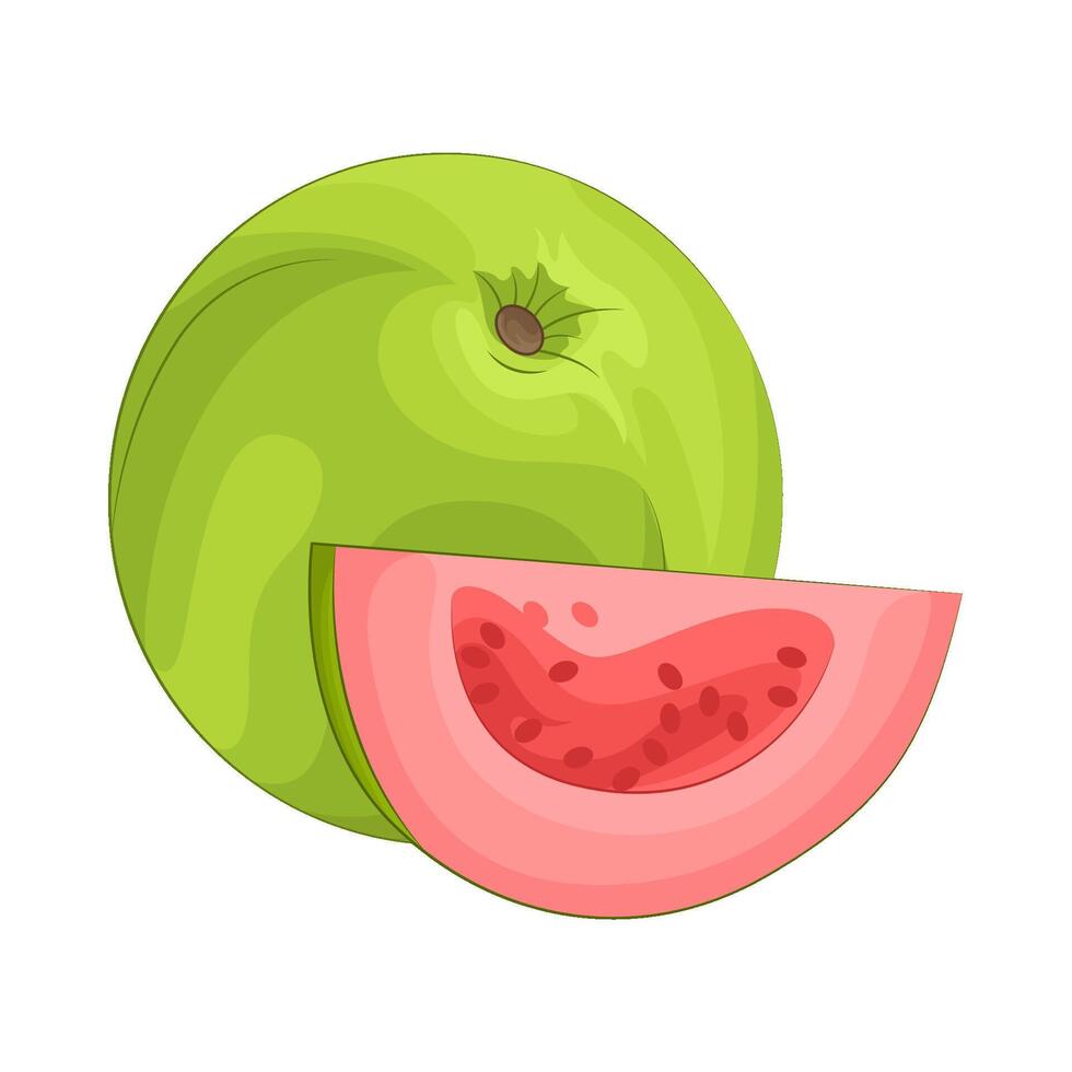 ilustración de guayaba vector