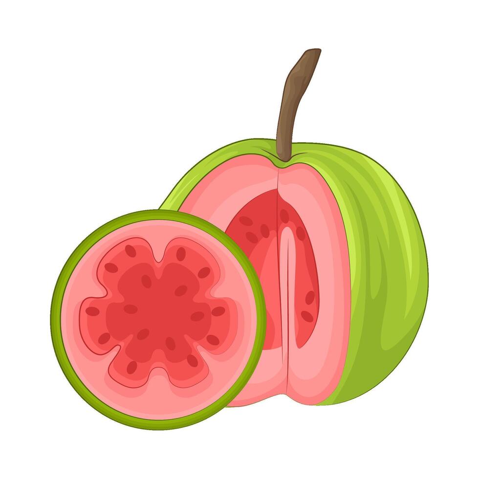 ilustración de guayaba vector