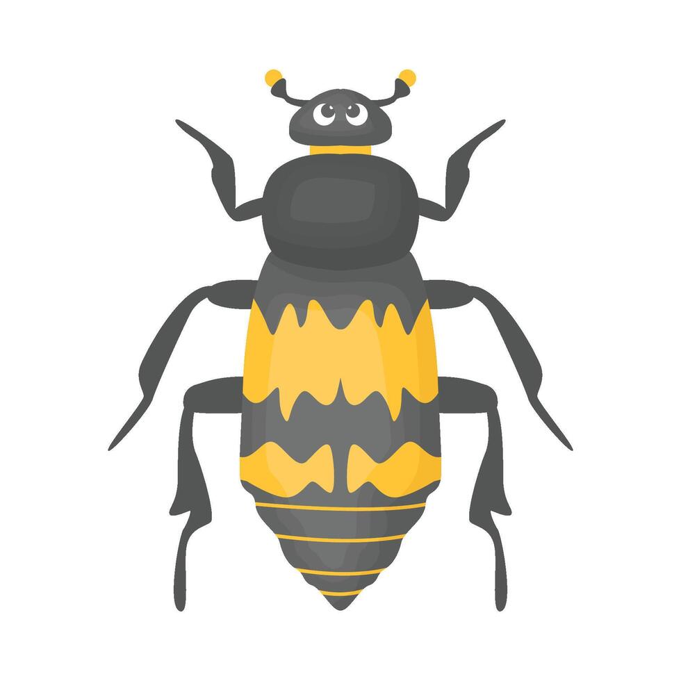 Illustration of bug vector