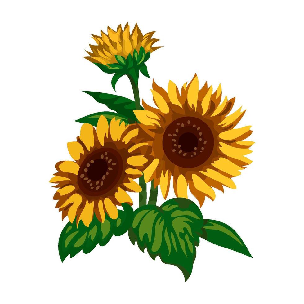 ilustración de girasol vector