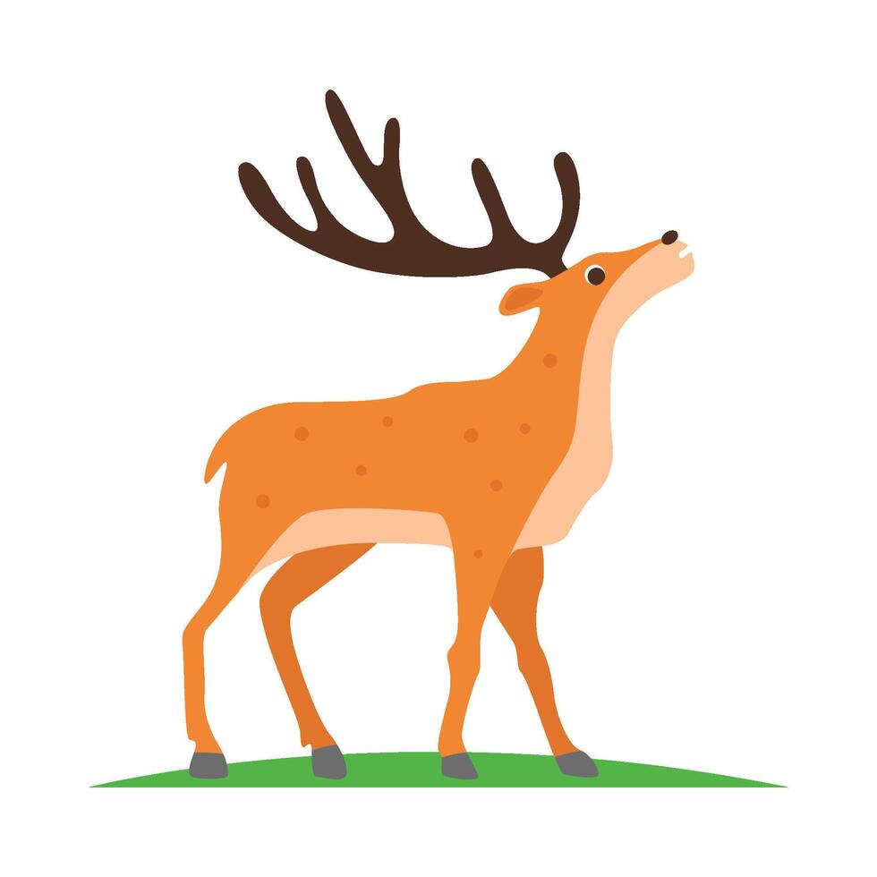 Illustration of deer vector