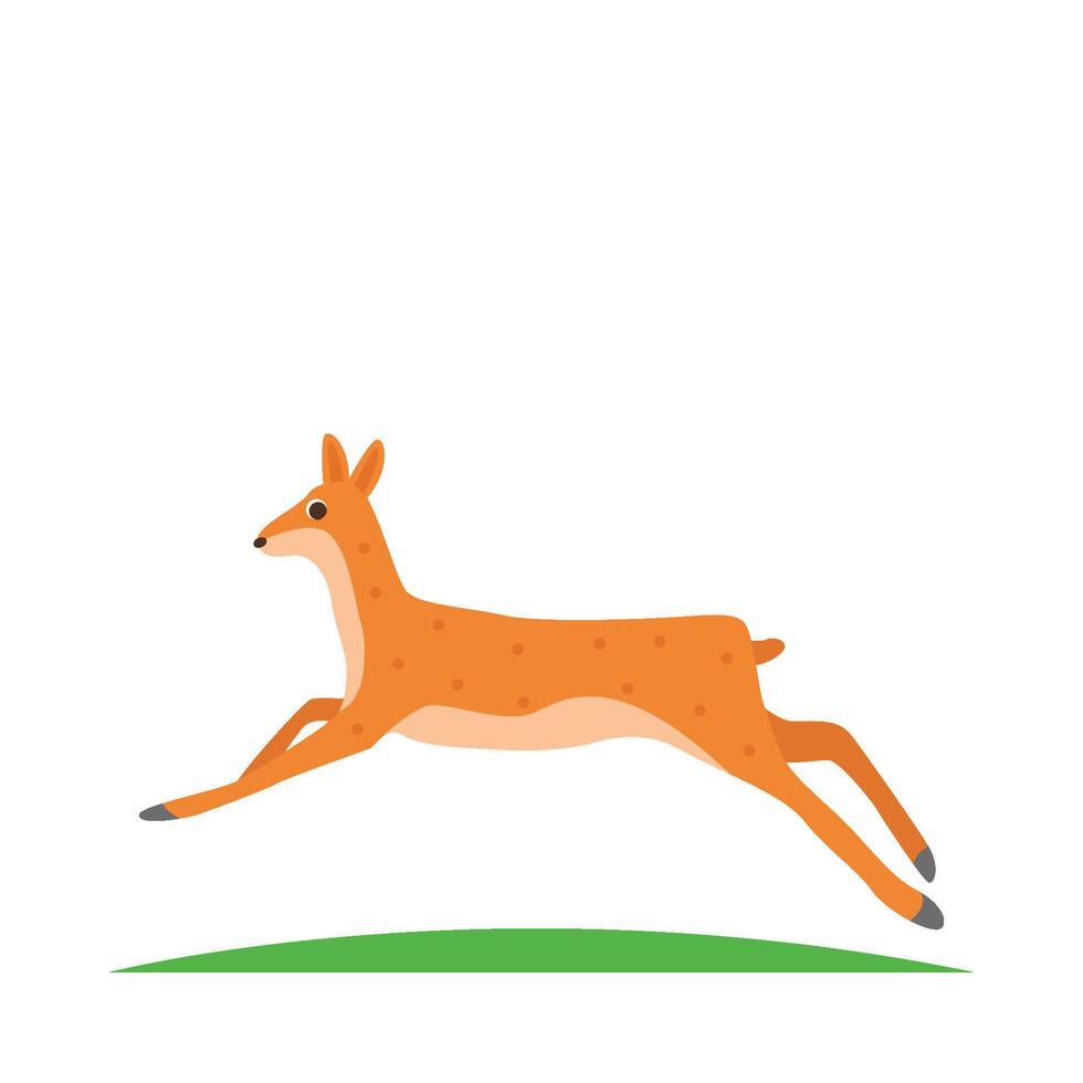 Illustration of Chinese water deer vector