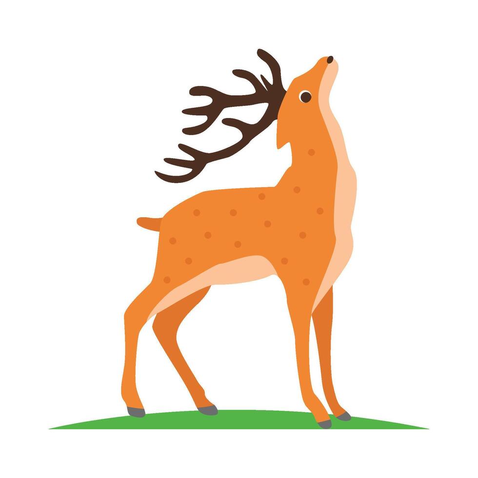 Illustration of deer vector