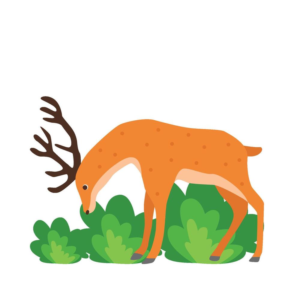 Illustration of deer vector