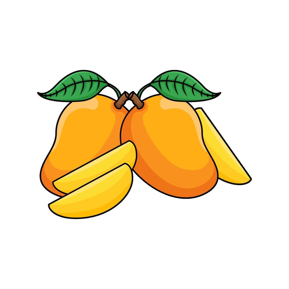 Illustration of mango vector