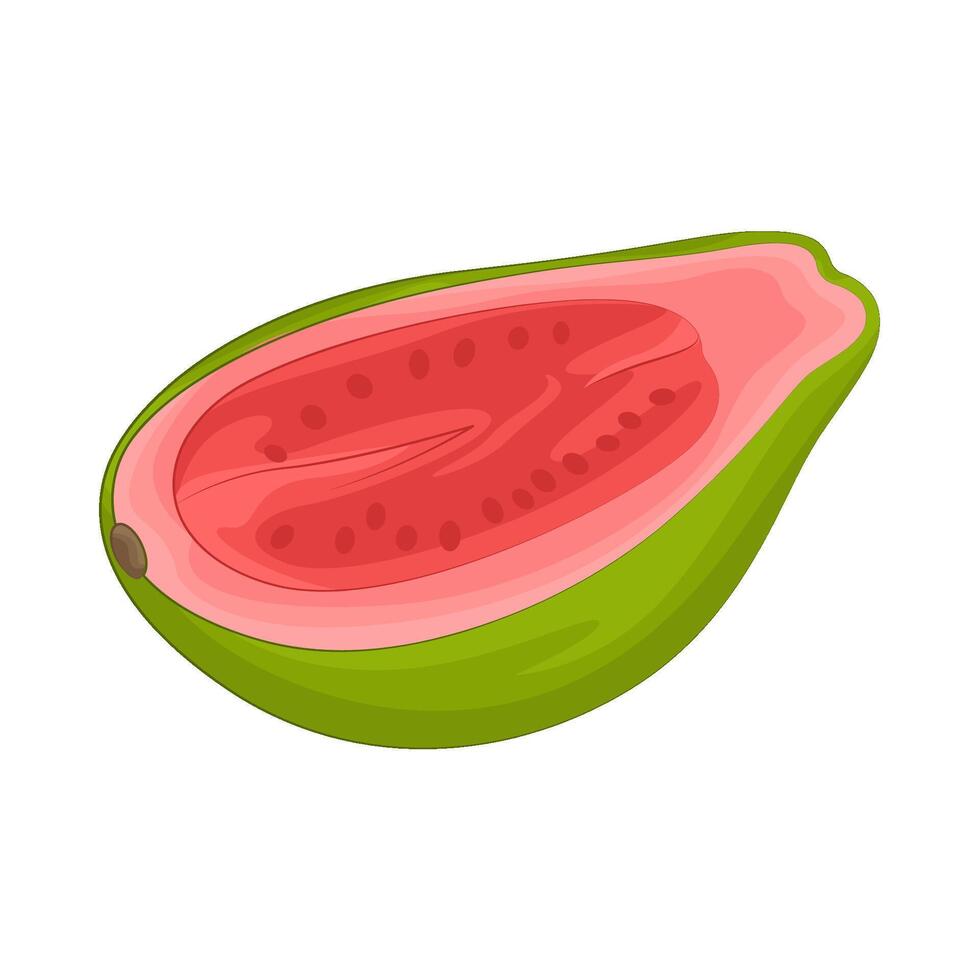 Illustration of half guava vector