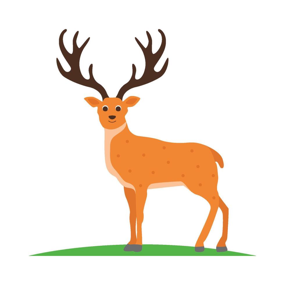 ilustración de ciervo vector