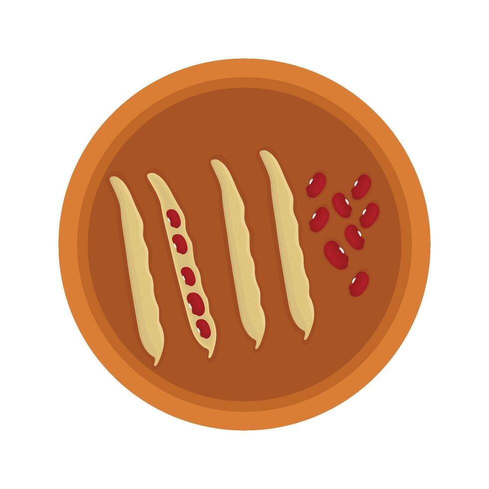 Illustration of red bean vector