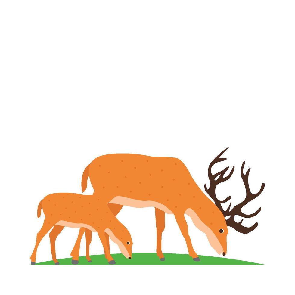Illustration of deer vector