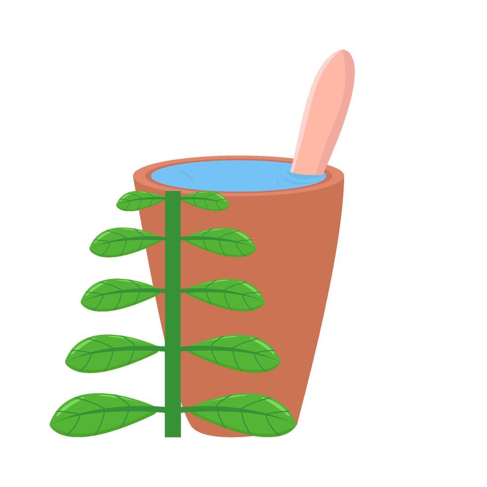 Illustration of basil vector