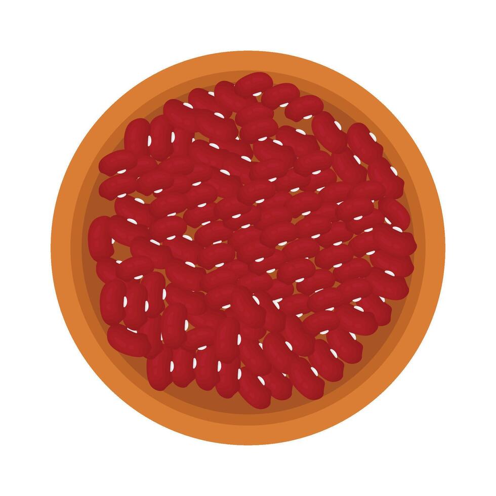Illustration of red bean vector