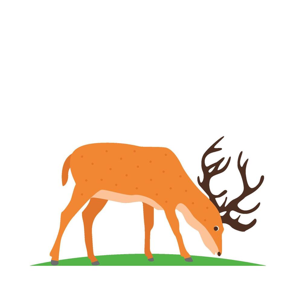 Illustration of deer vector