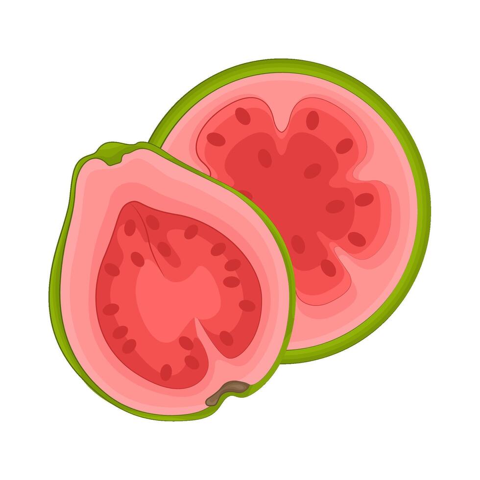 Illustration of half guava vector