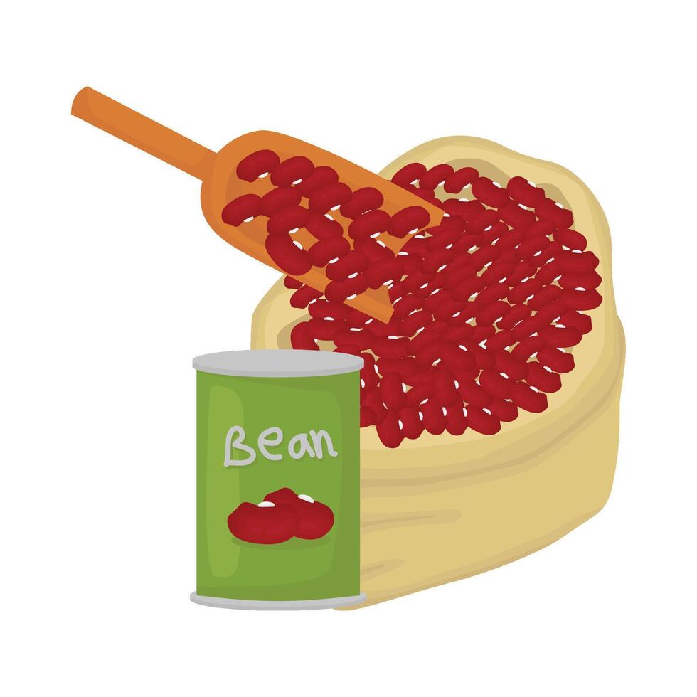 Illustration of red bean vector