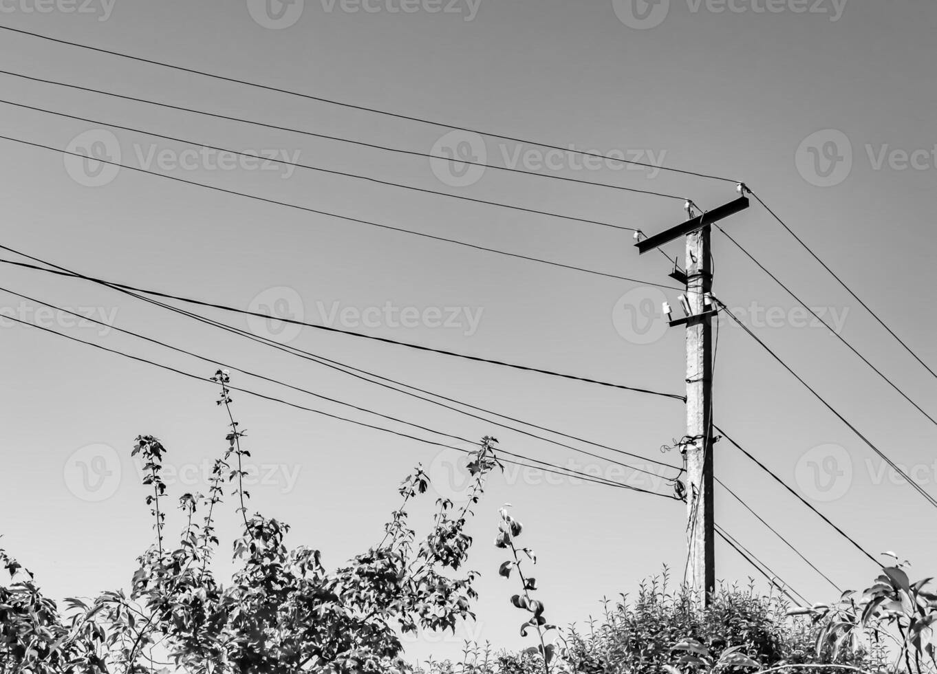 Power electric pole with line wire on light background close up photo