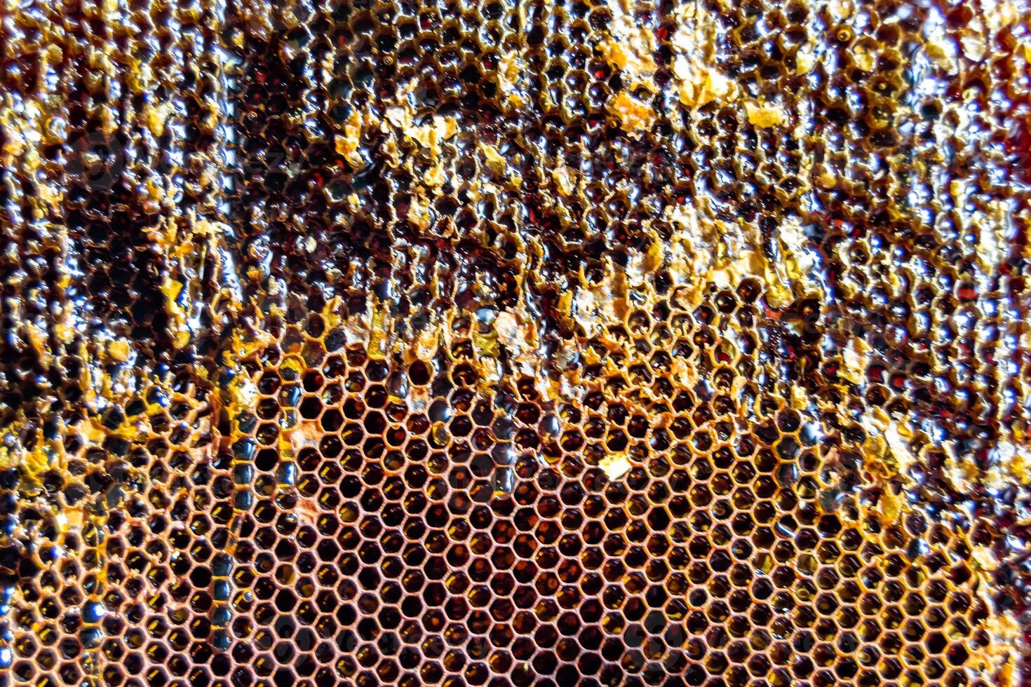 Drop of bee honey drip from hexagonal honeycombs filled with golden nectar photo