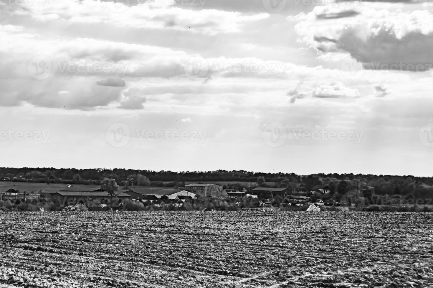 fotografía sobre el tema gran campo agrícola vacío para la cosecha orgánica foto