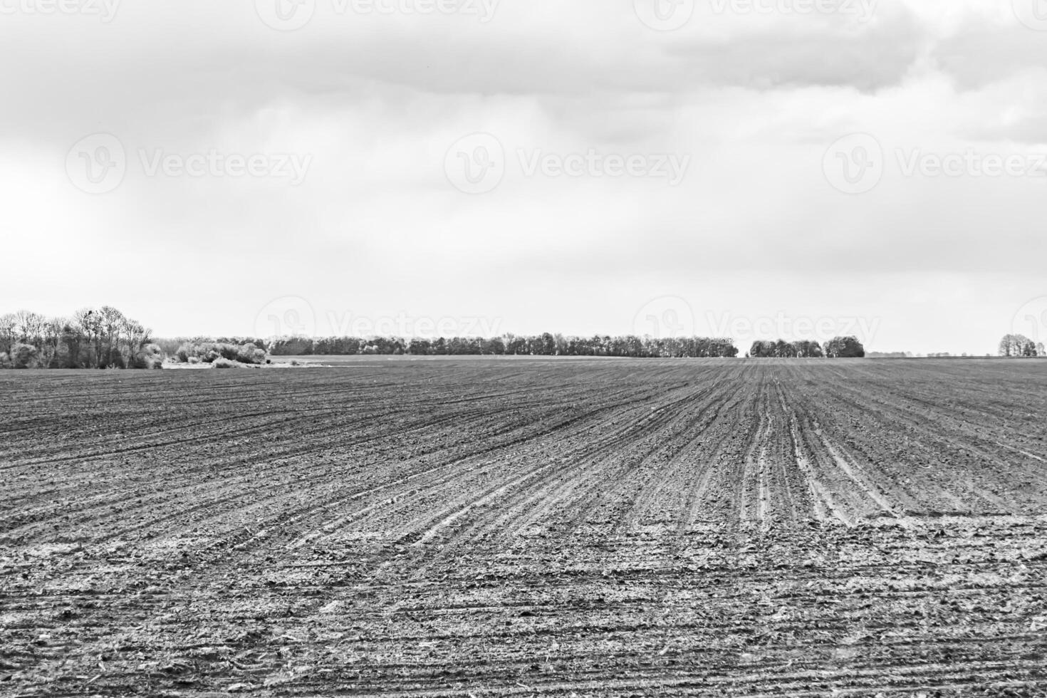 fotografía sobre el tema gran campo agrícola vacío para la cosecha orgánica foto