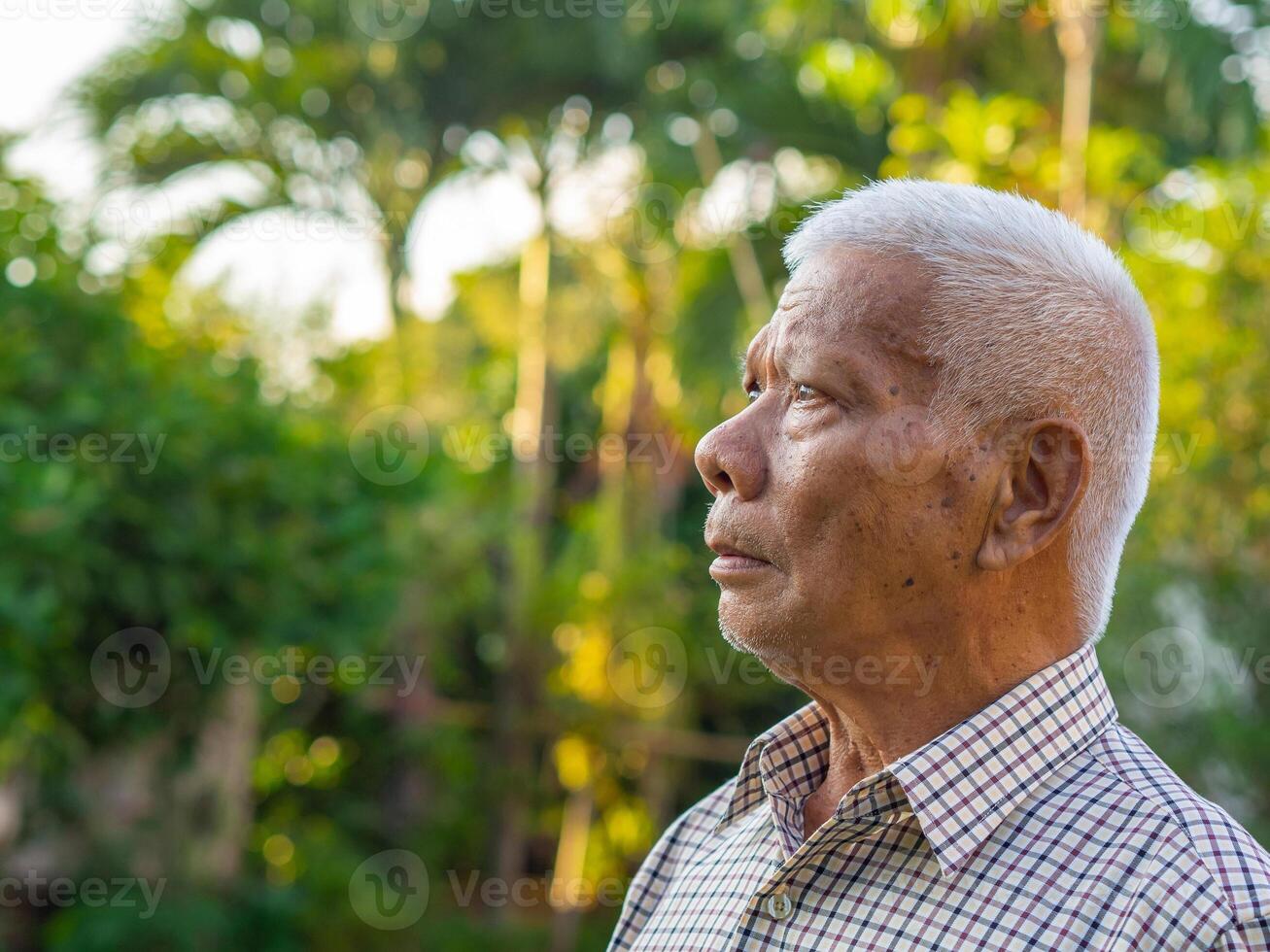 Side view of a senior man looking up while standing in a garden. Space for text. Concept of aged people and healthcare photo