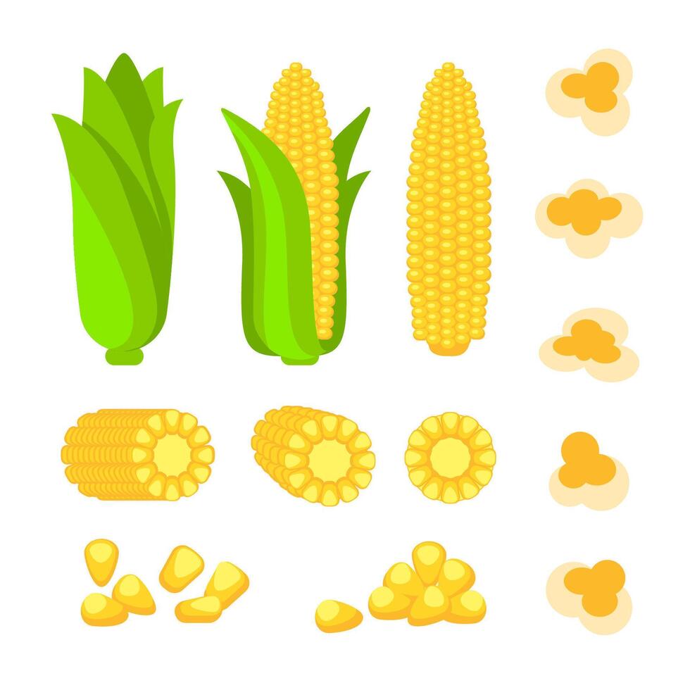 Cartoon corn. Fresh organic vegetable. Vector illustration